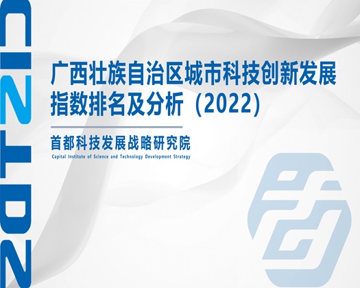 口交爆操视频【成果发布】广西壮族自治区城市科技创新发展指数排名及分析（2022）